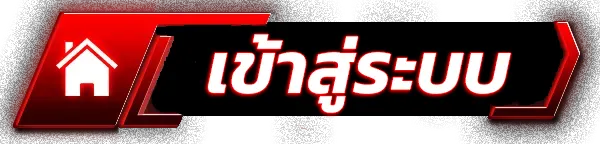 เว็บนอกแท้ 100